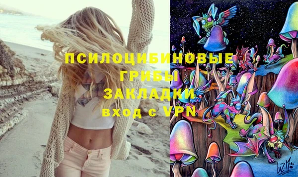 эйфоретик Анжеро-Судженск