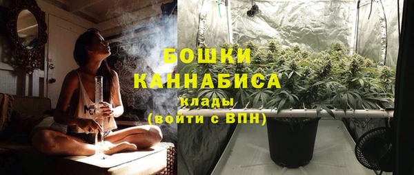 ALPHA PVP Переславль-Залесский