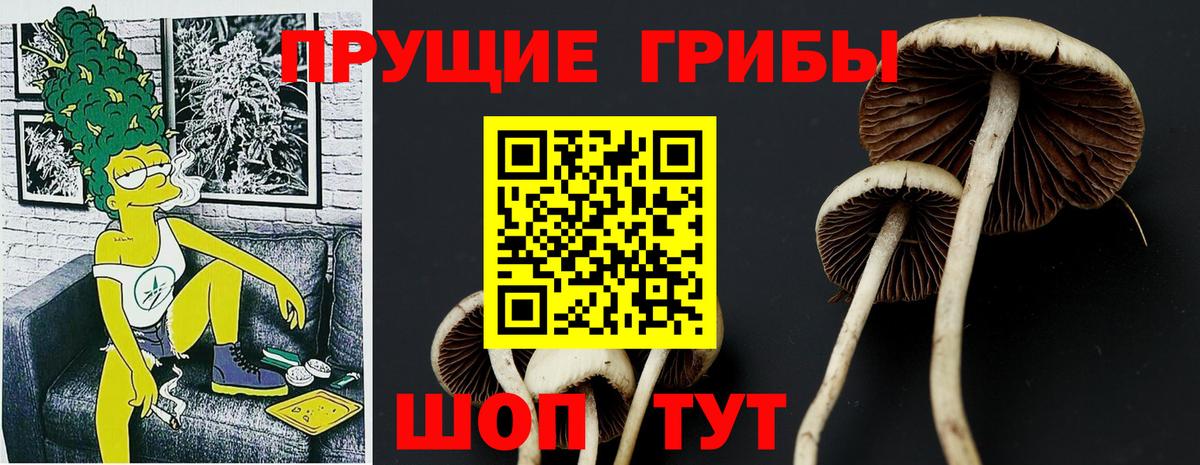 Костомукша  Галлюциногенные грибы ЛСД  Вход с VPN 